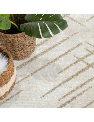 Dywan kremowy do salonu i sypialni – subtelny i elegancki