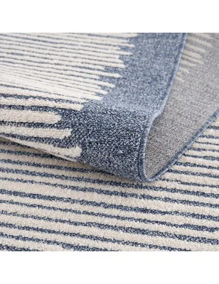 Stylowy dywan z frędzlami w paski idealny do salonu i sypialni